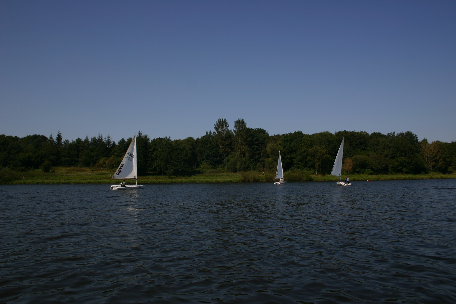 Sailing Boat
